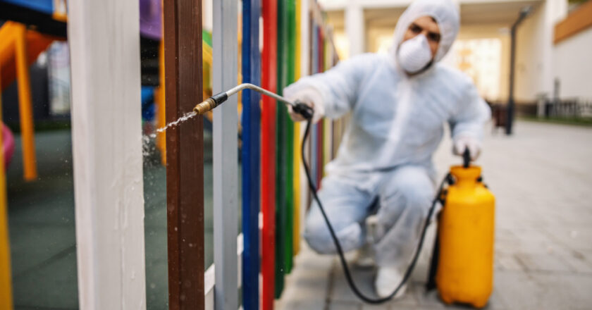 Kiedy spodziewać się inwazji szkodników i jak jej zapobiegać