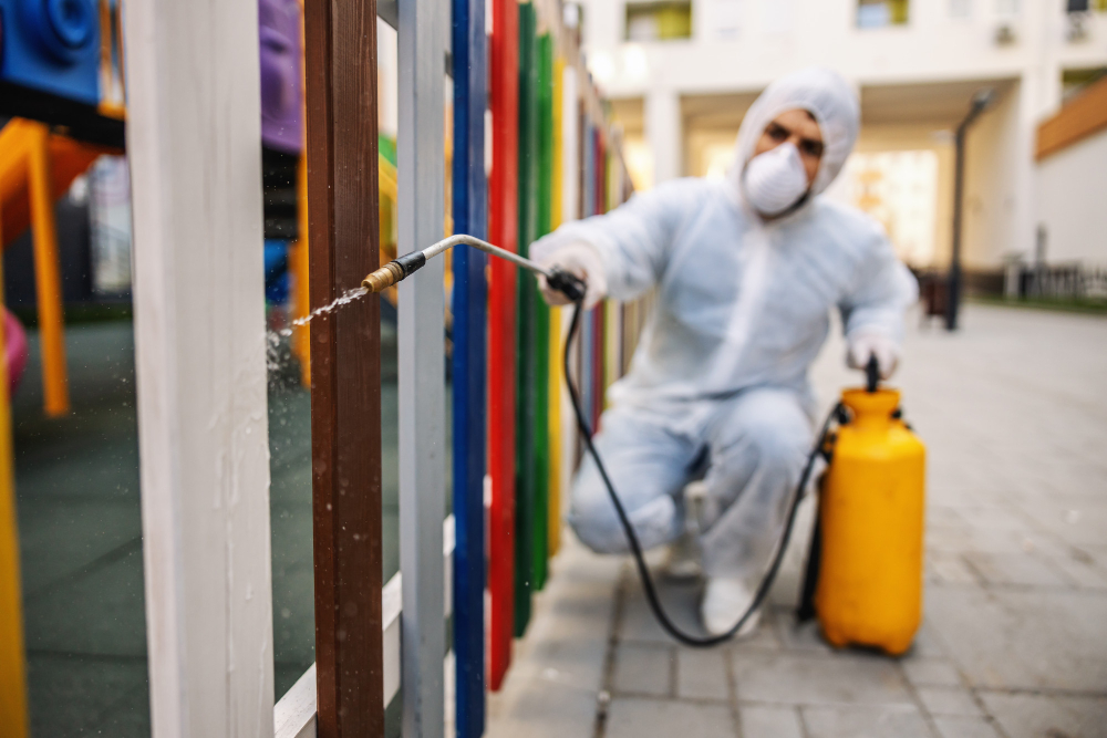 Kiedy spodziewać się inwazji szkodników i jak jej zapobiegać