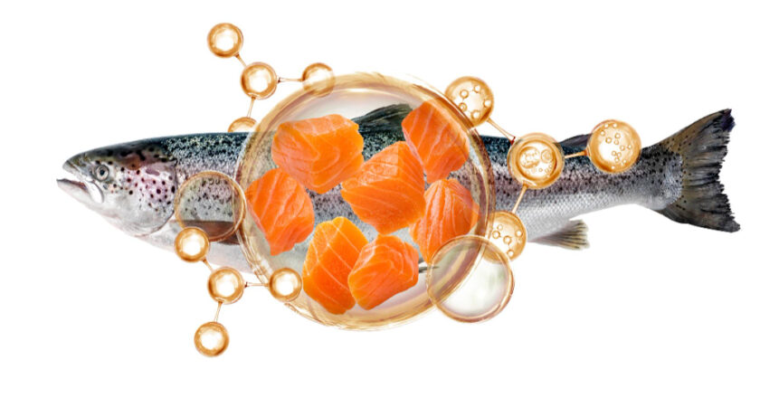 Gdy Twoje ciało mówi „dość”. Przewodnik po regeneracji, której potrzebujesz.