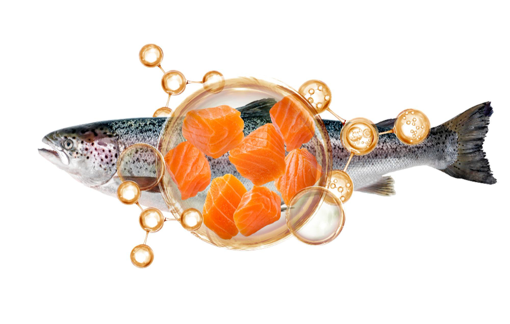 Gdy Twoje ciało mówi „dość”. Przewodnik po regeneracji, której potrzebujesz.