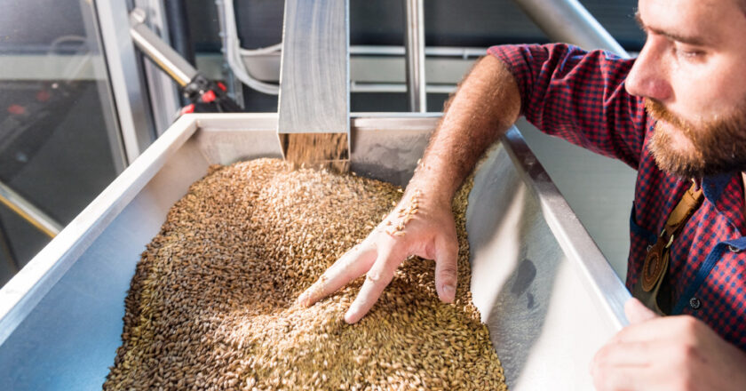 Projektowanie wydajnej linii technologicznej krok po kroku: od transportu po odpylanie