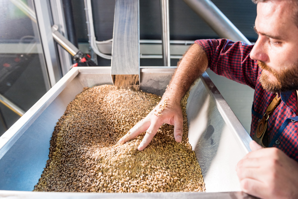 Projektowanie wydajnej linii technologicznej krok po kroku: od transportu po odpylanie